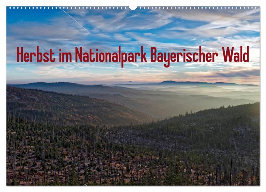 Herbst im Nationalpark Bayerischer Wald (Wandkalender 2026 DIN A2 quer), CALVENDO Monatskalender - Borg Enders