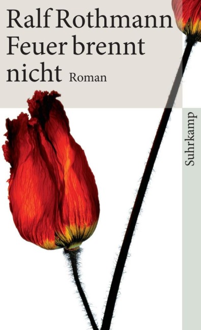 Feuer brennt nicht - Ralf Rothmann