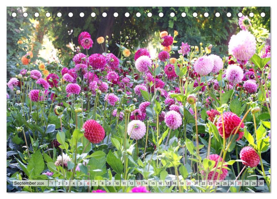 InsideView 14