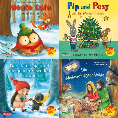 Maxi-Pixi-Box 104: Bilderbuchwinter (4x5 Exemplare) - Diverse