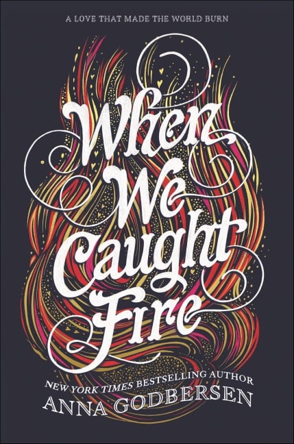 When We Caught Fire - Anna Godbersen