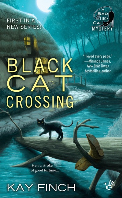 Black Cat Crossing - Kay Finch