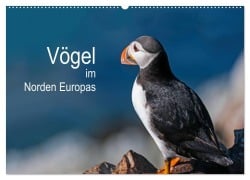 Cover-Bild zum Titel 'Vögel im Norden Europas (Wandkalender 2027 DIN A2 quer), CALVENDO Monatskalender' von 'Martin Thoma'