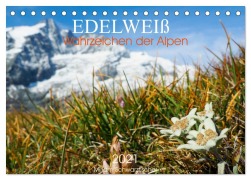 Cover-Bild zum Titel 'Edelweiß - Wahrzeichen der Alpen (Tischkalender 2026 DIN A5 quer), CALVENDO Monatskalender' von 'Miriam Schwatzfischer'