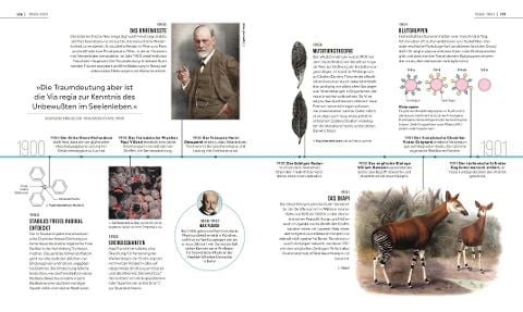 InsideView 5