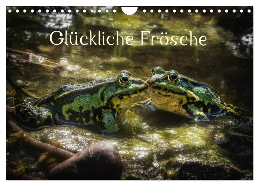 Glückliche Frösche (Wandkalender 2027 DIN A4 quer), CALVENDO Monatskalender - Kathrin Gawlik