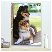 SHELTIES Herzensbrecher auf 4 Pfoten (hochwertiger Premium Wandkalender 2026 DIN A2 hoch), Kunstdruck in Hochglanz - Marion Reiß-Seibert