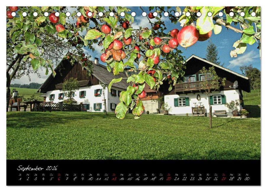 InsideView 14