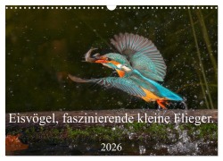 Eisvögel, faszinierende kleine Flieger. (Wandkalender 2026 DIN A3 quer), CALVENDO Monatskalender - Wiebke von der Heyde