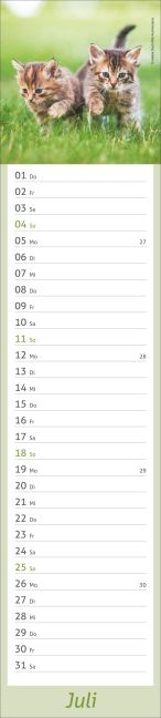 InsideView 7