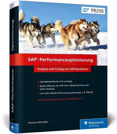 SAP-Performanceoptimierung - Thomas Schneider