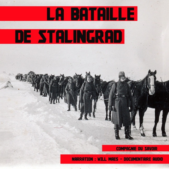 La bataille de Stalingrad - John Mac