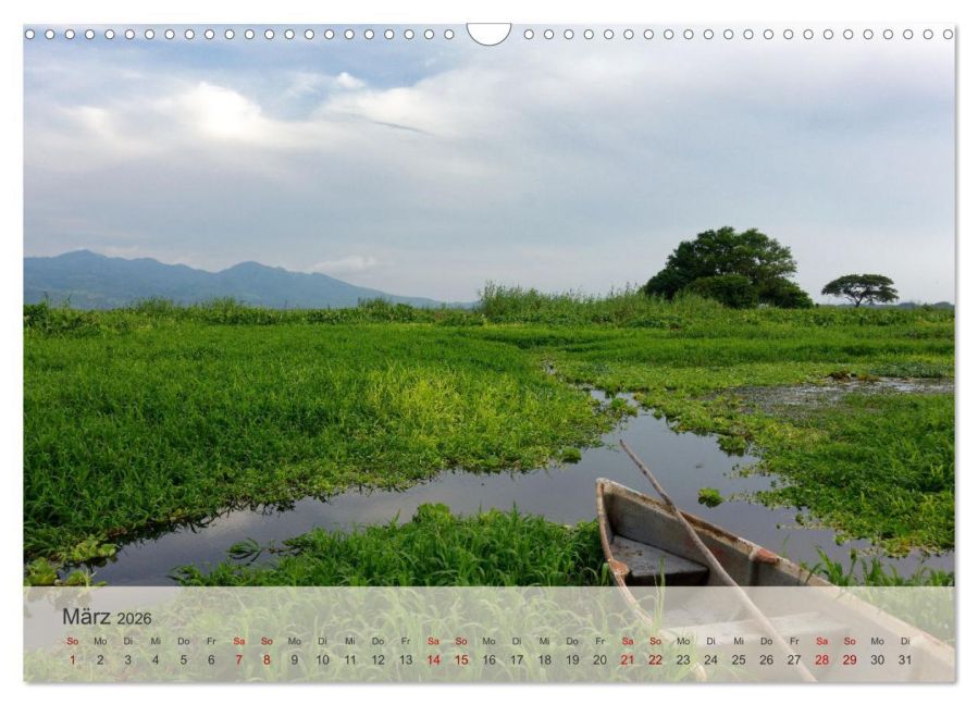 InsideView 8
