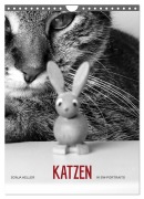 Sonja Heller Katzen in SW-Portraits (Wandkalender 2026 DIN A4 hoch), CALVENDO Monatskalender - Sonja Heller