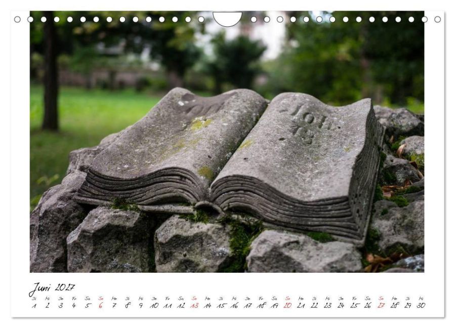 InsideView 11