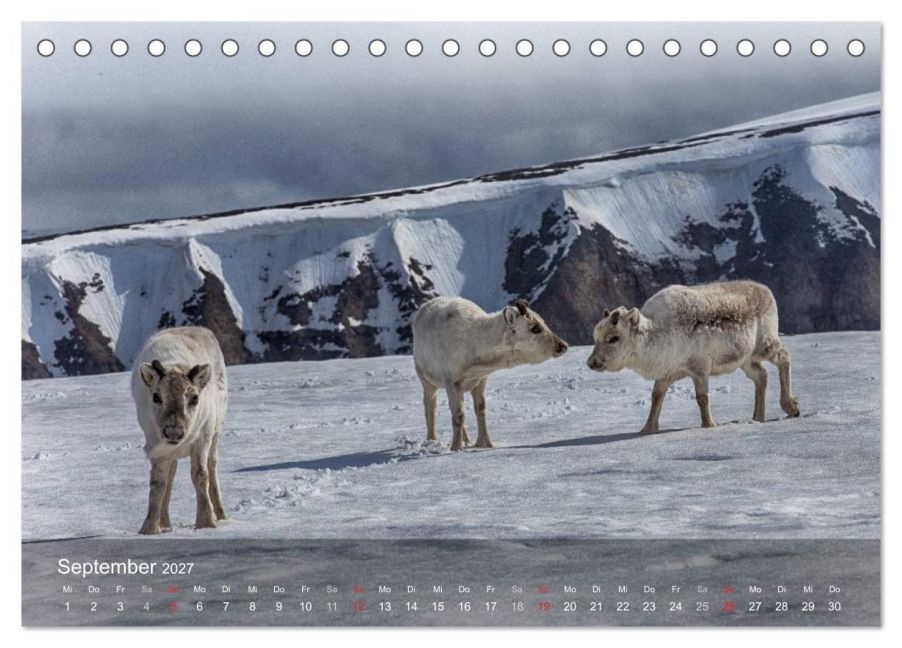 InsideView 14