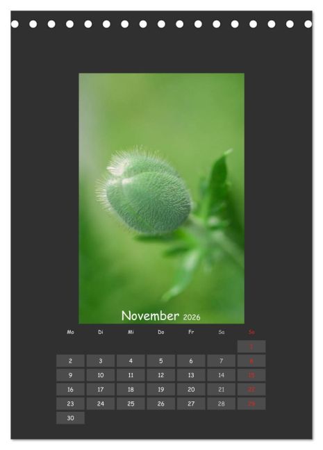InsideView 3