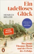 Cover-Bild zum Titel 'Ein tadelloses Glück' von 'Heinrich Breloer'