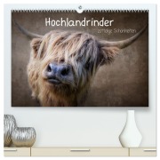 Hochlandrinder - Zottelige Schönheiten (hochwertiger Premium Wandkalender 2026 DIN A2 quer), Kunstdruck in Hochglanz - Claudia Moeckel