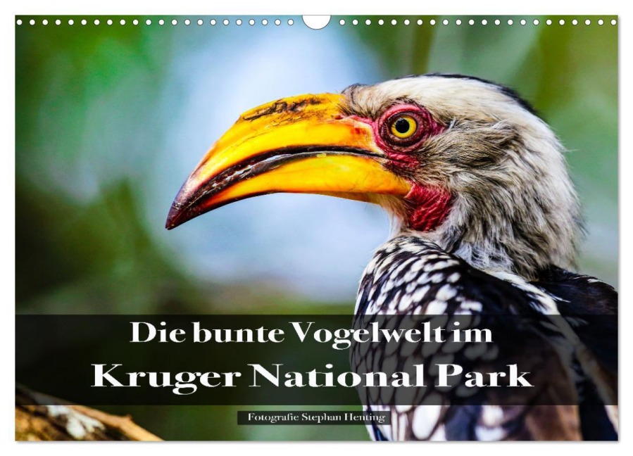 Die bunte Vogelwelt im Kruger National Park (Wandkalender 2026 DIN A3 quer), CALVENDO Monatskalender - Stephan Henting