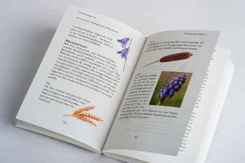 InsideView 5