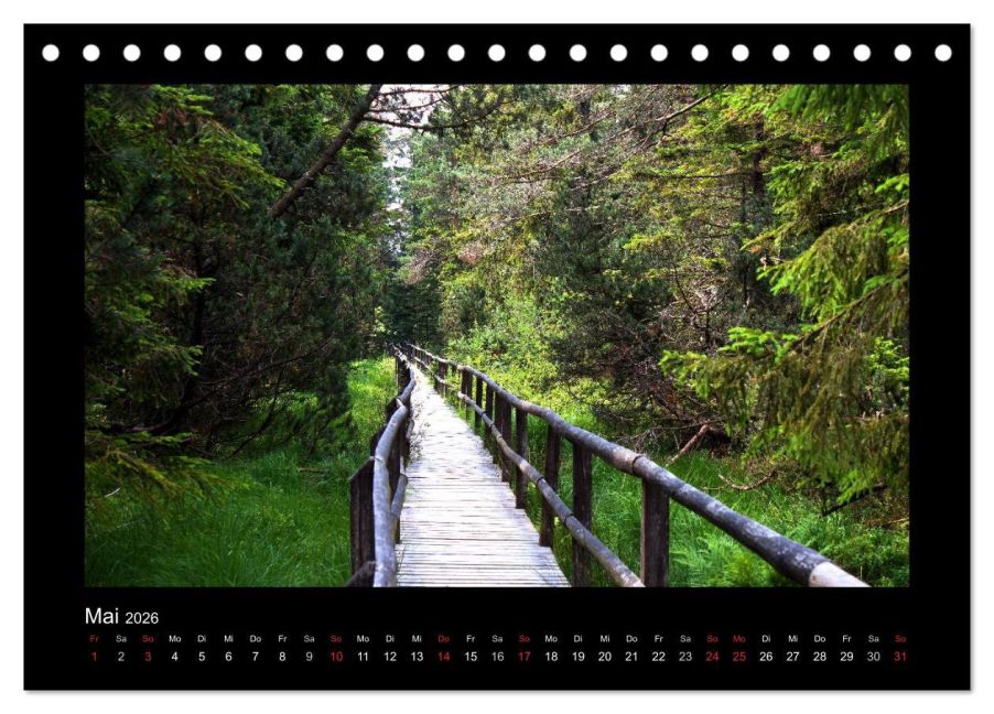 InsideView 10