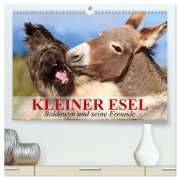 Cover-Bild zum Titel 'Kleiner Esel. Boldewyn und seine Freunde (hochwertiger Premium Wandkalender 2026 DIN A2 quer), Kunstdruck in Hochglanz' von 'Elisabeth Stanzer'