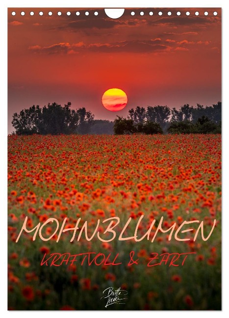 Mohnblumen - kraftvoll und zart (Wandkalender 2024 DIN A4 hoch), CALVENDO Monatskalender - Britta Lieder