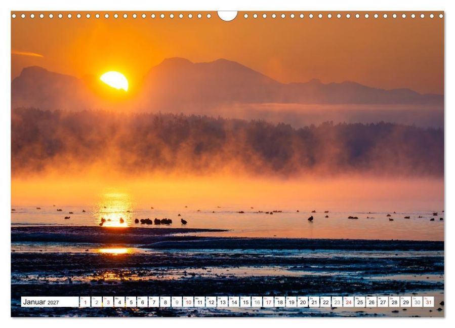 InsideView 6