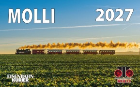 Cover-Bild zum Titel 'MOLLI 2027' von ''