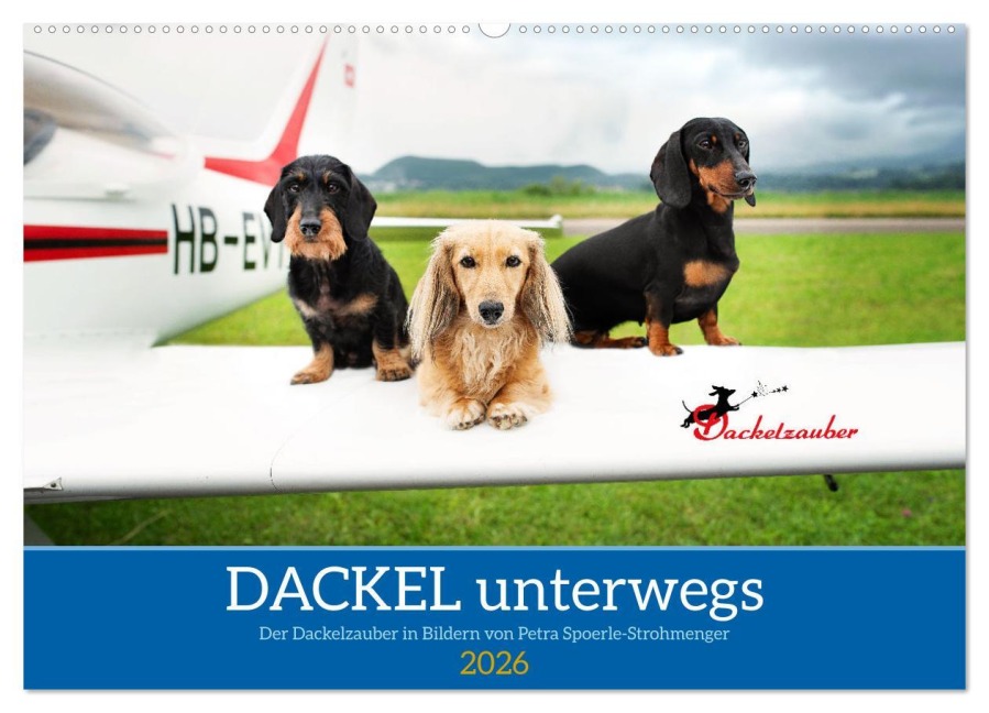 Dackel unterwegs (Wandkalender 2026 DIN A2 quer), CALVENDO Monatskalender - Dackelzauber Dackelzauber