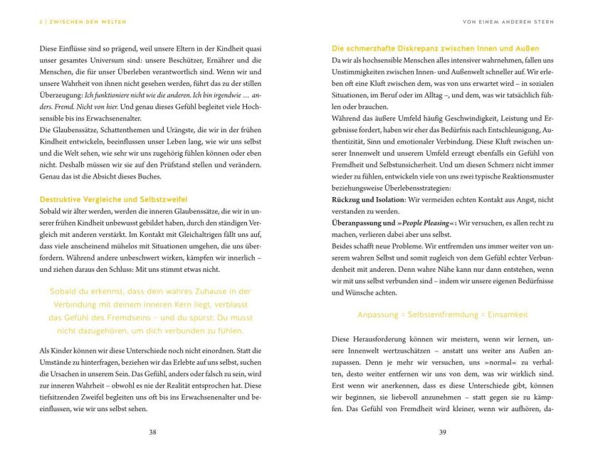 InsideView 5