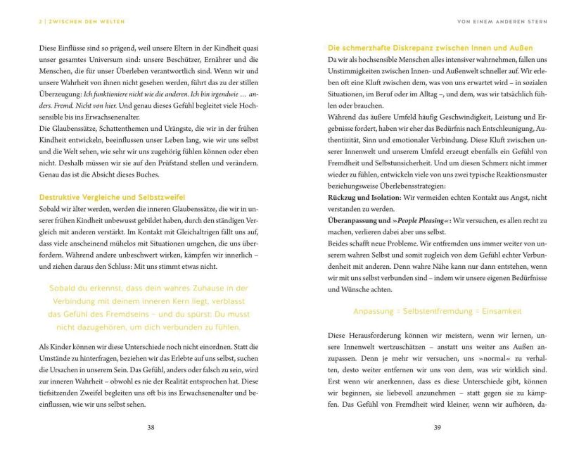 InsideView 5