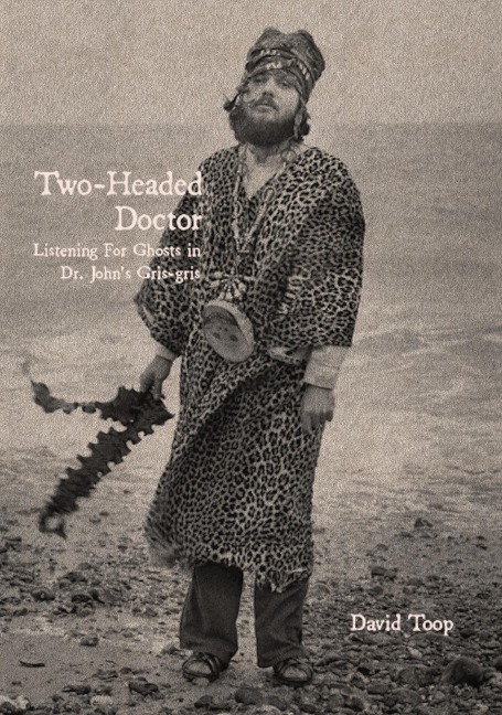 Two-Headed Doctor - David Toop