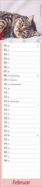 InsideView 2