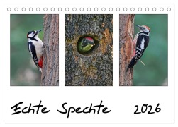Cover-Bild zum Titel 'Echte Spechte (Tischkalender 2026 DIN A5 quer), CALVENDO Monatskalender' von 'Gerald Wolf'