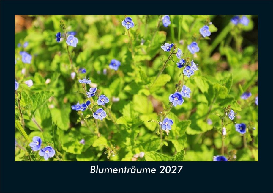 Blumenträume 2027 Fotokalender DIN A5 - Tobias Schmitt, Kevin Heber