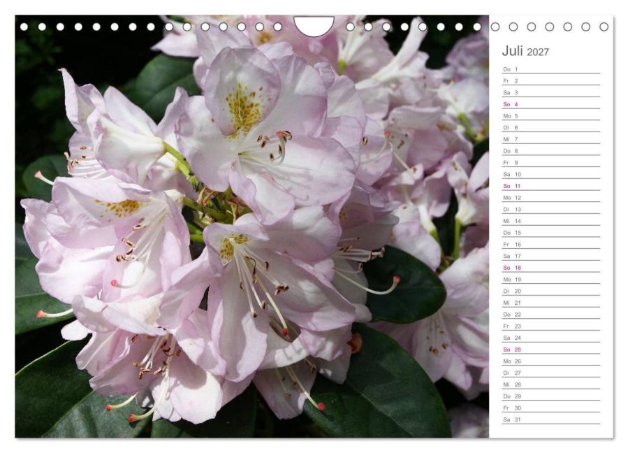 InsideView 12