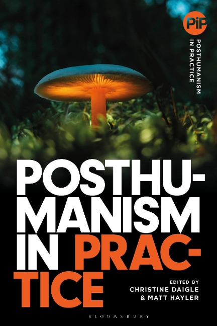 Posthumanism in Practice - 