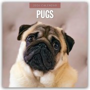 Cover-Bild zum Titel 'Pugs - Mops 2026 - 16-Monatskalender' von 'Robin Red'