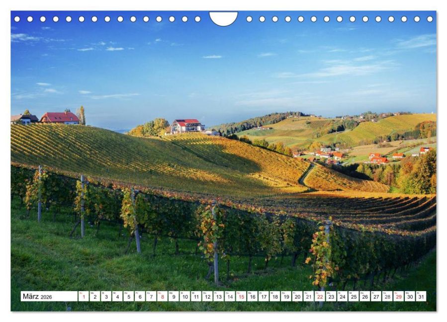 InsideView 8