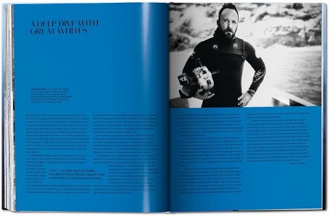 InsideView 12