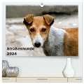Straßenhunde (hochwertiger Premium Wandkalender 2024 DIN A2 quer), Kunstdruck in Hochglanz - Antje Bakker