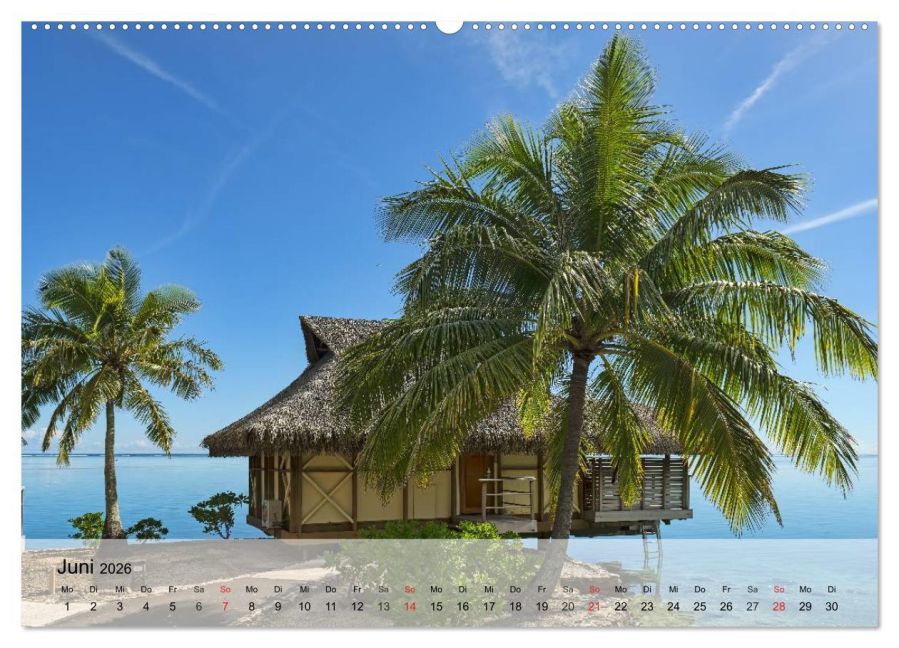 InsideView 10