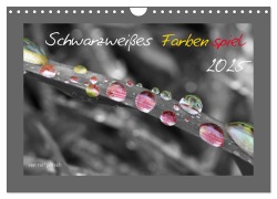 Schwarzweißes Farbenspiel 2025 / AT Version (Wandkalender 2025 DIN A4 quer), CALVENDO Monatskalender - Rolf Pötsch