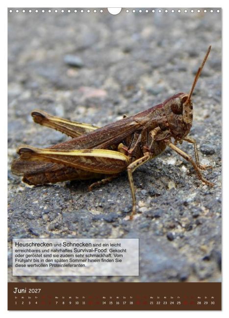 InsideView 11