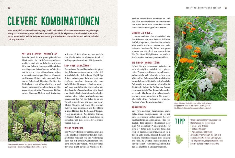 InsideView 2