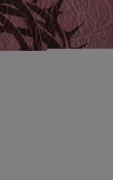 Cover-Bild zum Titel 'The Bible (The Gospel According to Saint Matthew) / Библия (Евангелие от Матфея)' von 'Kjv'