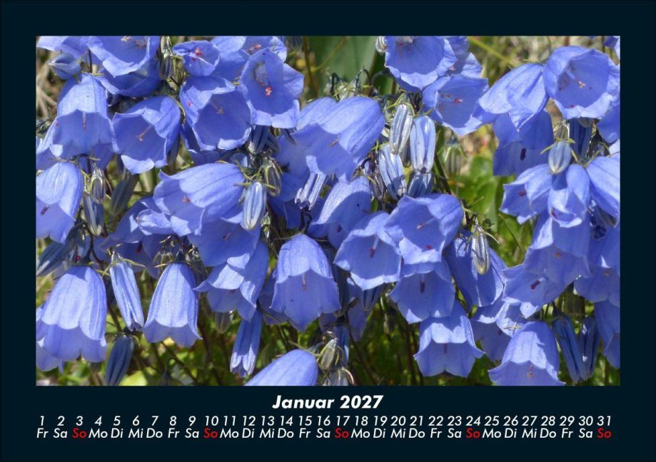 InsideView 5