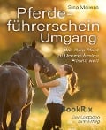 Pferdeführerschein Umgang - Wie Dein Pferd zu Deinem besten Freund wird - Der Leitfaden zum Erfolg - Sina Meiwes